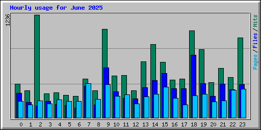 Hourly usage for June 2025