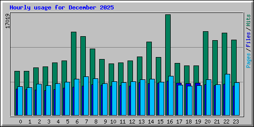 Hourly usage for December 2025