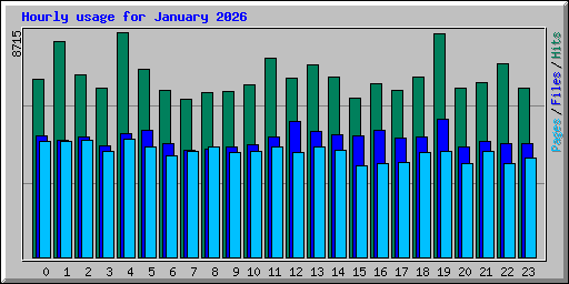 Hourly usage for January 2026