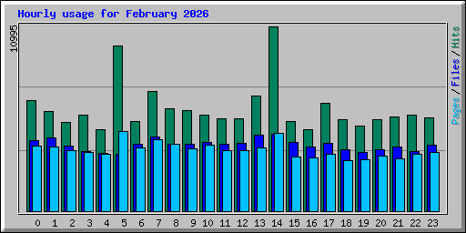 Hourly usage for February 2026